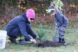 family-tree-planting