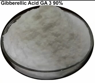 gibberellic-acid