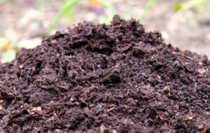 how-to-make-composted-soil-for-growing-trees