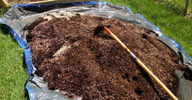 tree-soil-recipe