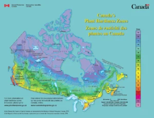 plant-zone-climate-map