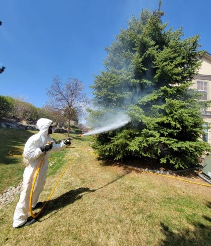 spraying-to-get-rid-of-pests