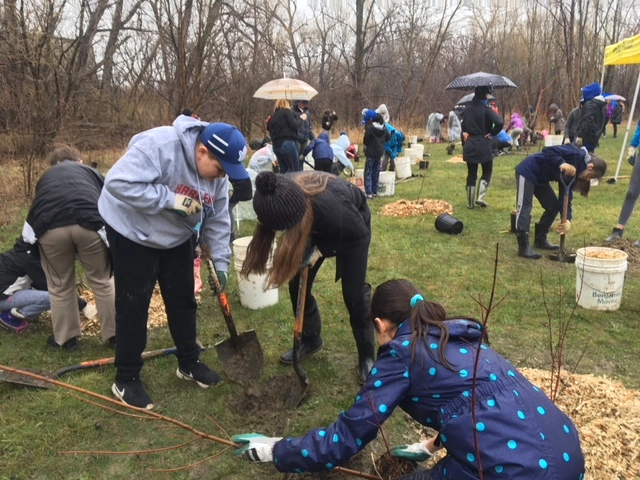 tree-planting-initiative