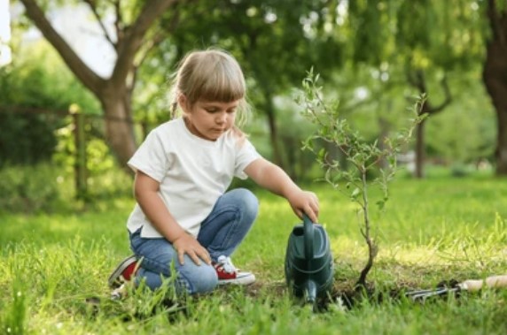 watering-young-trees