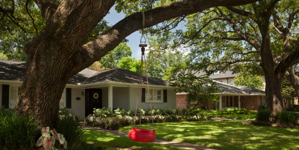 shade-tree-to-increase-property-value