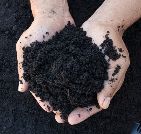 loamy-soil-visual-identification