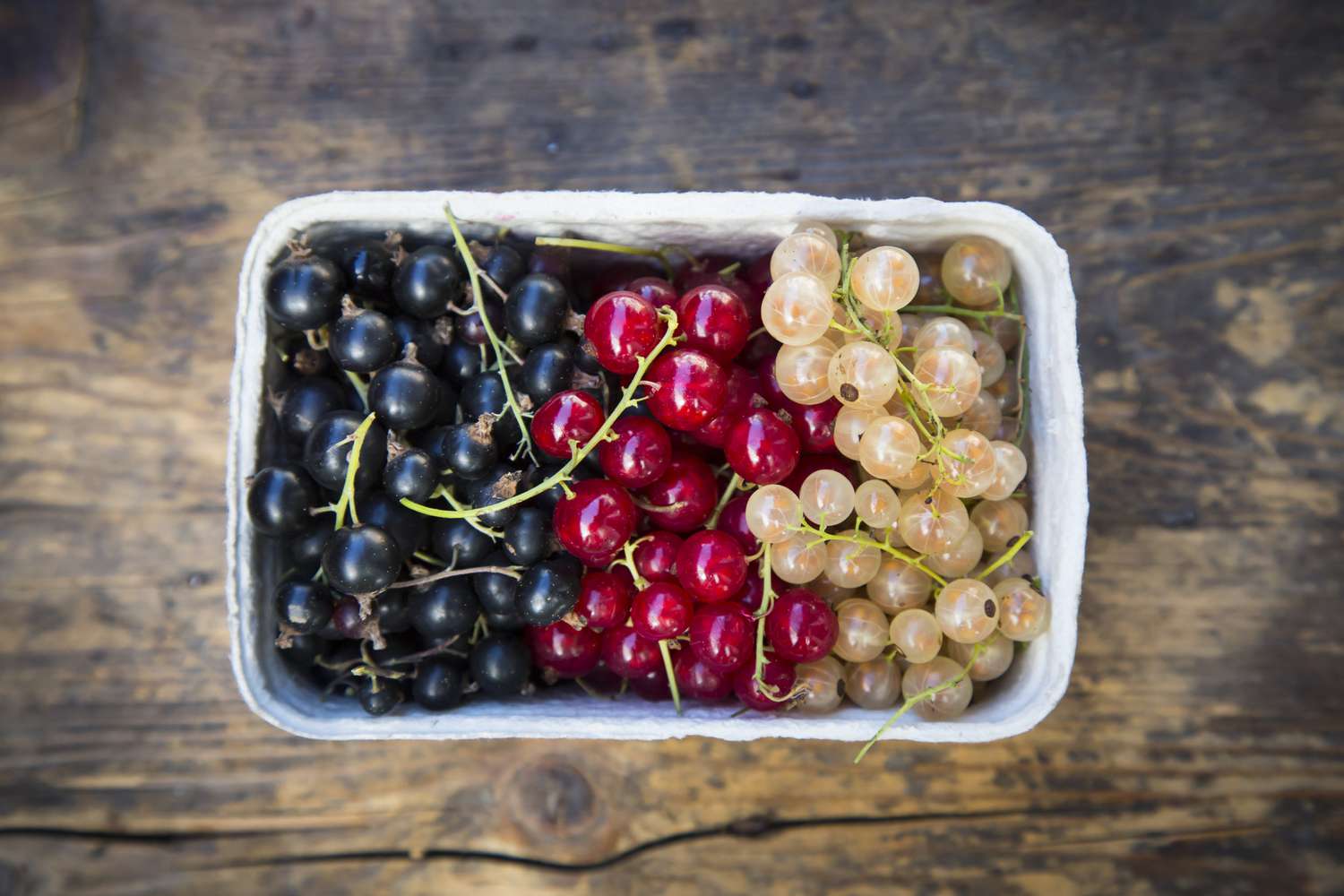 Currants-red-black-white