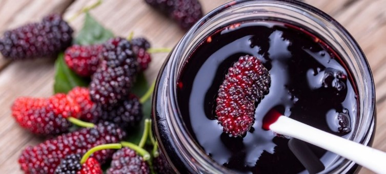 growing-mulberry-trees-for-homemade-jam